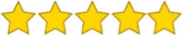 5 от 5 звезди